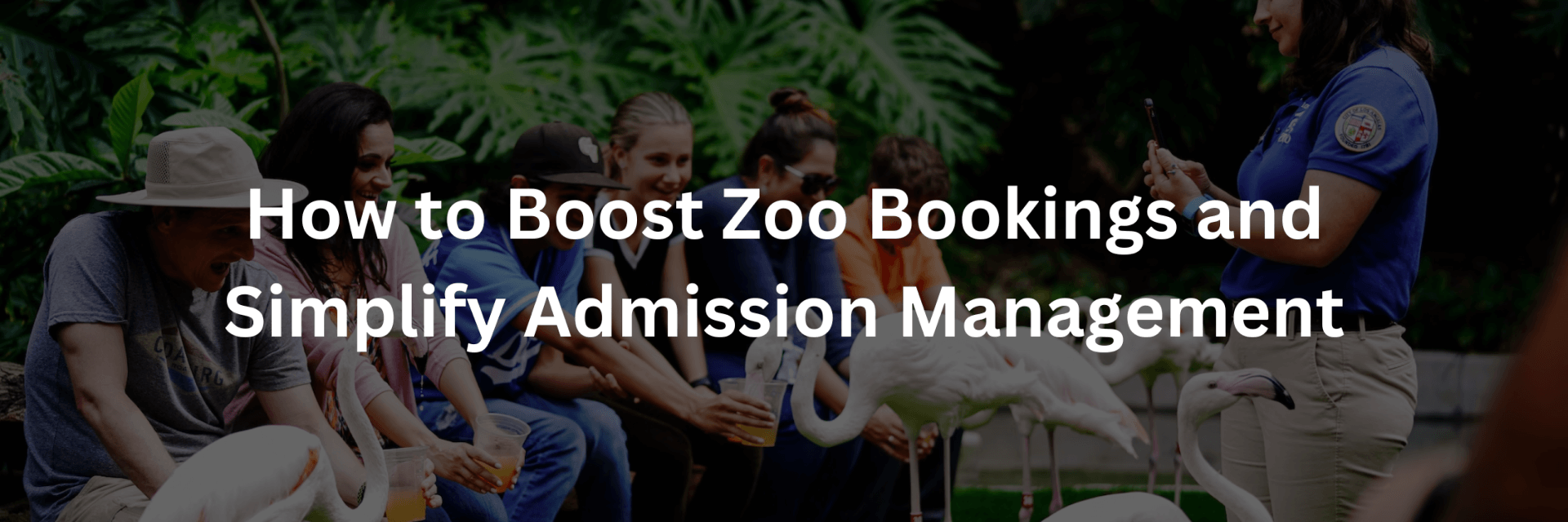 Comment augmenter les réservations dans les zoos et simplifier la